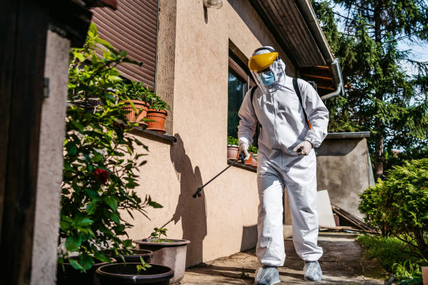 Best Termite Control Services  in Lonaconing, MD