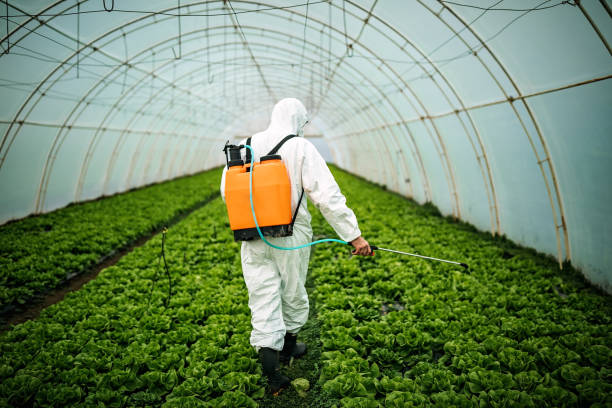Best Insect Control  in Lonaconing, MD