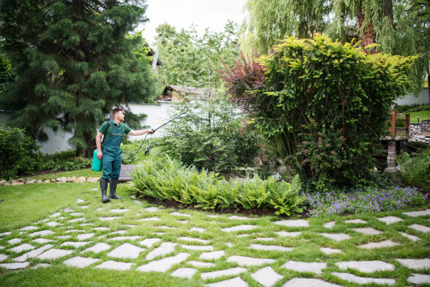 Best Best Pest Control Companies  in Lonaconing, MD