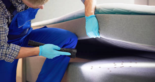 Best Affordable Pest Control Services  in Lonaconing, MD