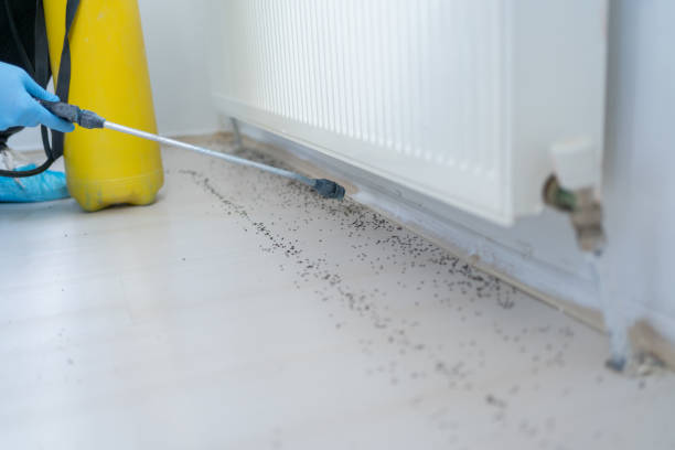 Pest Prevention Services in Lonaconing, MD