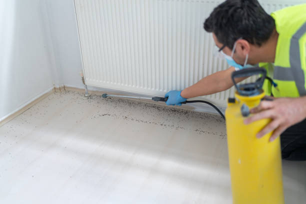  Lonaconing, MD Pest Control Pros